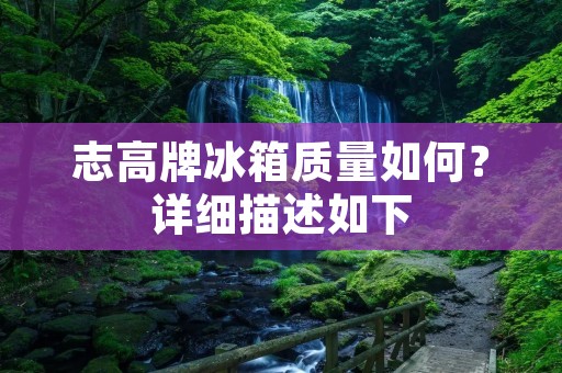 志高牌冰箱质量如何？详细描述如下：