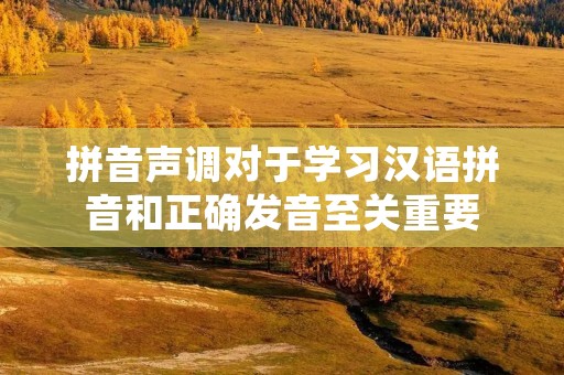 拼音声调对于学习汉语拼音和正确发音至关重要