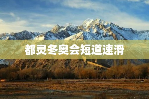都灵冬奥会短道速滑：挑战极限的极致竞技