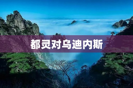 都灵对乌迪内斯:一场激烈的意大利足球对决 都灵对乌迪内斯:一场激烈的意大利足球对决
