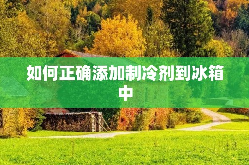 如何正确添加制冷剂到冰箱中