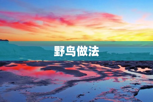 野鸟做法：如何制作美味的野鸟料理