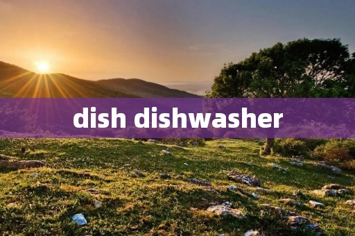 dish dishwasher