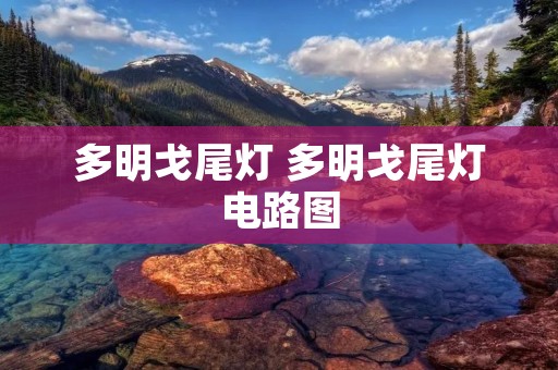 多明戈尾灯 多明戈尾灯电路图 多明戈尾灯 多明戈尾灯电路图