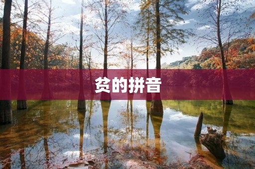 贫的拼音:pín
