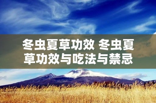 冬虫夏草功效 冬虫夏草功效与吃法与禁忌
