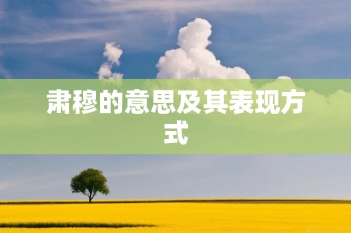 肃穆的意思及其表现方式