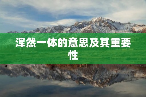 浑然一体的意思及其重要性