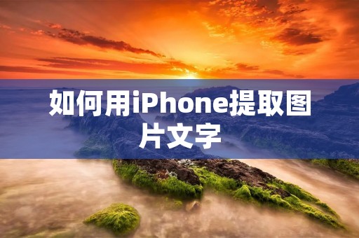 如何用iPhone提取图片文字