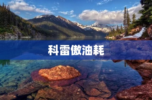 科雷傲油耗:挑战与突破 科雷傲油耗:挑战与突破