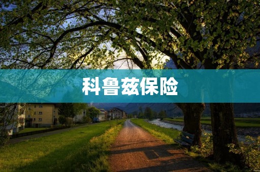 科鲁兹保险:保障您的安全与财富 科鲁兹保险:保障您的安全与财富