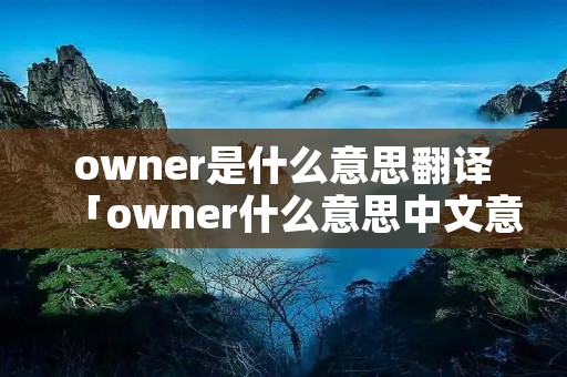 owner是什么意思翻译「owner什么意思中文意思是什么」