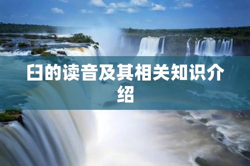 臼的读音及其相关知识介绍