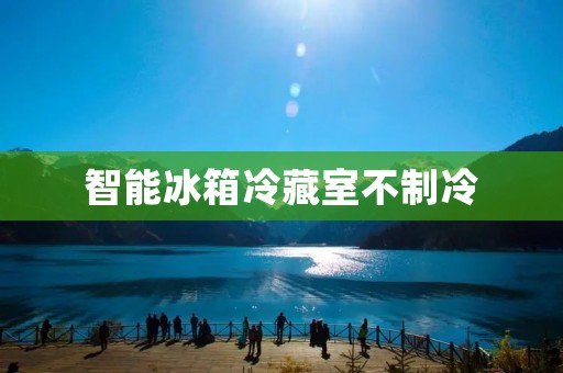 智能冰箱冷藏室不制冷：原因及解决方法