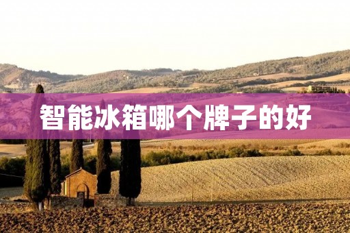 智能冰箱哪个牌子的好:详细评测与比较 智能冰箱哪个牌子的好:详细评测与比较