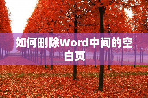如何删除Word中间的空白页