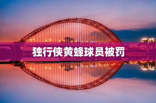 独行侠黄蜂球员被罚：一次**行为引发的思考