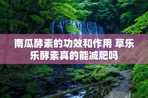 南瓜酵素的功效和作用 草乐乐酵素真的能减肥吗