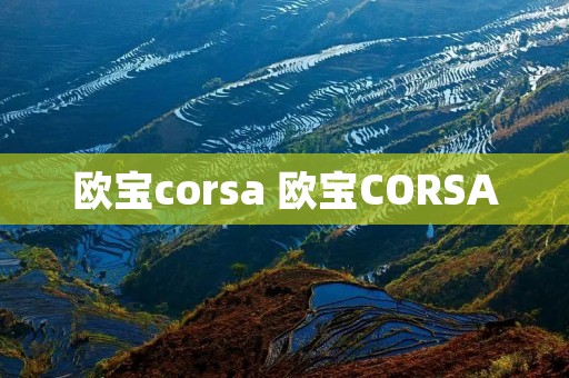 欧宝corsa 欧宝CORSA