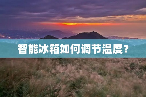 智能冰箱如何调节温度? 智能冰箱如何调节温度?