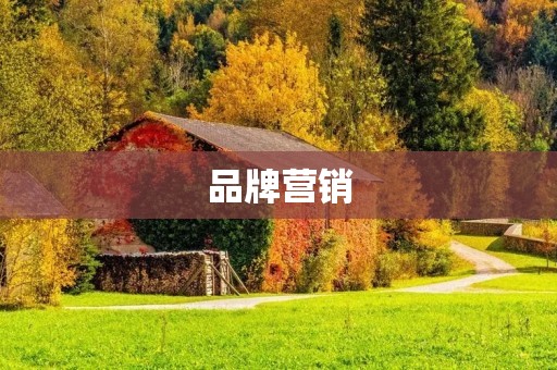 品牌营销：打造独特品牌形象的关键