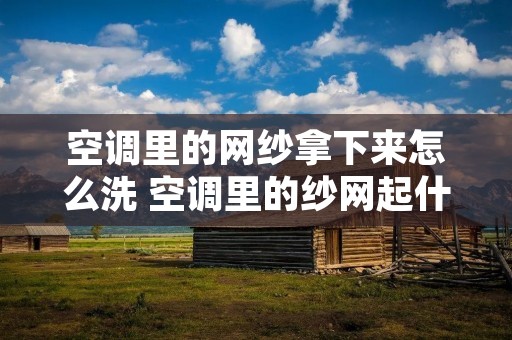 空调里的网纱拿下来怎么洗 空调里的纱网起什么作用 空调里的网纱拿下来怎么洗 空调里的纱网起什么作用
