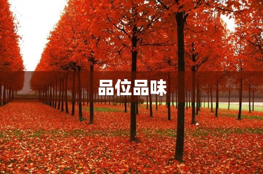 品位品味：从细节到整体，探索独特品味的魅力