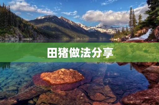 田猪做法分享：美味与健康的完美结合