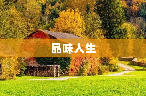 品味人生：追求卓越的生活艺术
