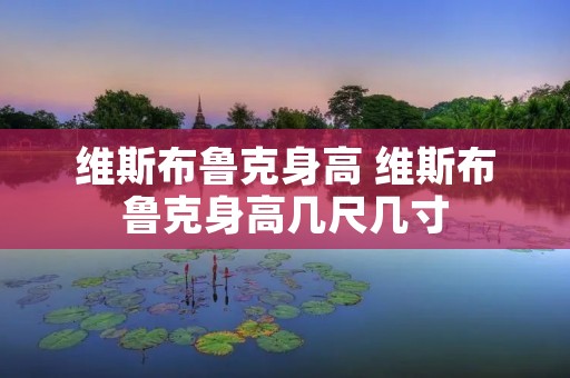 维斯布鲁克身高 维斯布鲁克身高几尺几寸