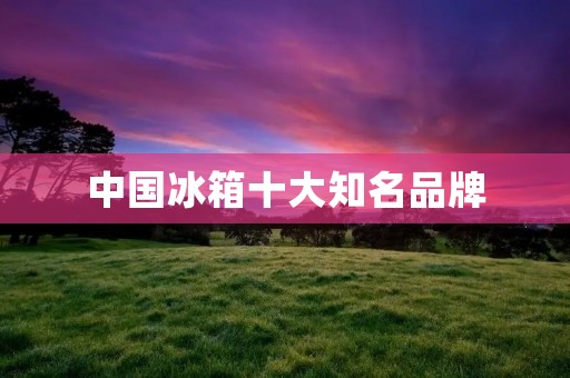中国冰箱十大知名品牌:冰爽生活从这里开始 中国冰箱十大知名品牌:冰爽生活从这里开始