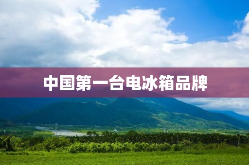 中国第一台电冰箱品牌:海尔电冰箱 中国第一台电冰箱品牌:海尔电冰箱