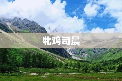 牝鸡司晨:一场带来欢笑与美食的独特体验