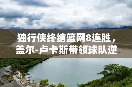 独行侠终结篮网8连胜，盖尔-卢卡斯带领球队逆袭