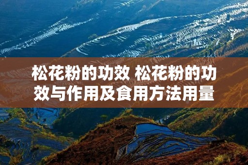松花粉的功效 松花粉的功效与作用及食用方法用量