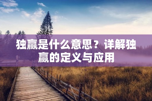 独赢是什么意思?详解独赢的定义与应用 独赢是什么意思?详解独赢的定义与应用