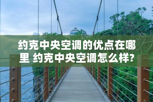 约克中央空调的优点在哪里 约克中央空调怎么样?