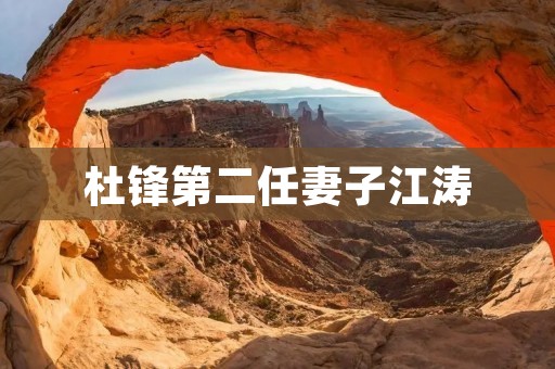 杜锋第二任妻子江涛：一个坚强而独立的女性