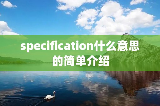specification什么意思的简单介绍