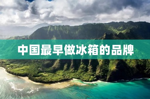 中国最早做冰箱的品牌：海尔电器