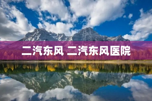 二汽东风 二汽东风医院