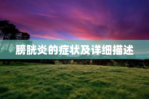 膀胱炎的症状及详细描述