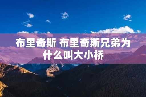 布里奇斯 布里奇斯兄弟为什么叫大小桥 布里奇斯 布里奇斯兄弟为什么叫大小桥