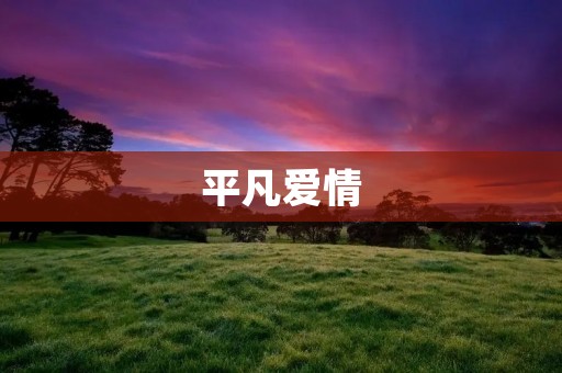 平凡爱情:生活中的真爱