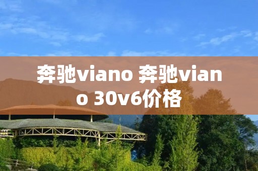 奔驰viano 奔驰viano 30v6价格