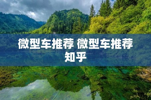 微型车推荐 微型车推荐知乎