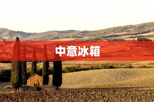 中意冰箱:源自德国工艺的高品质制造 中意冰箱:源自德国工艺的高品质制造