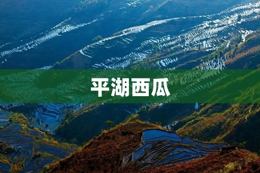 平湖西瓜:一颗与众不同的夏日之果