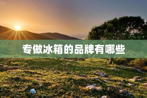 专做冰箱的品牌有哪些