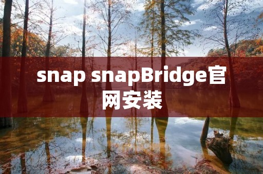 snap snapBridge官网安装